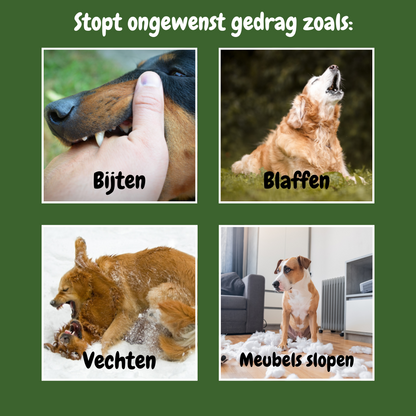 NoWoof™ – Eén klik, geen geblaf